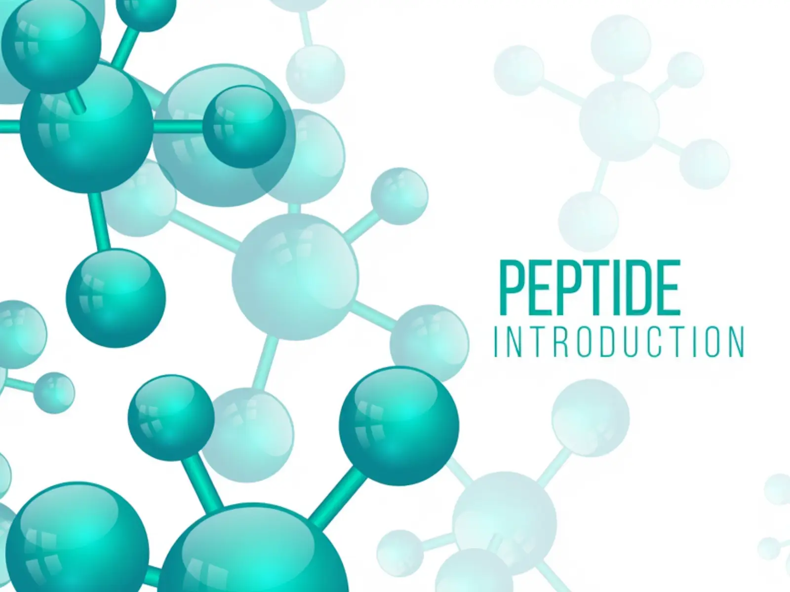 Introduction to Peptides
